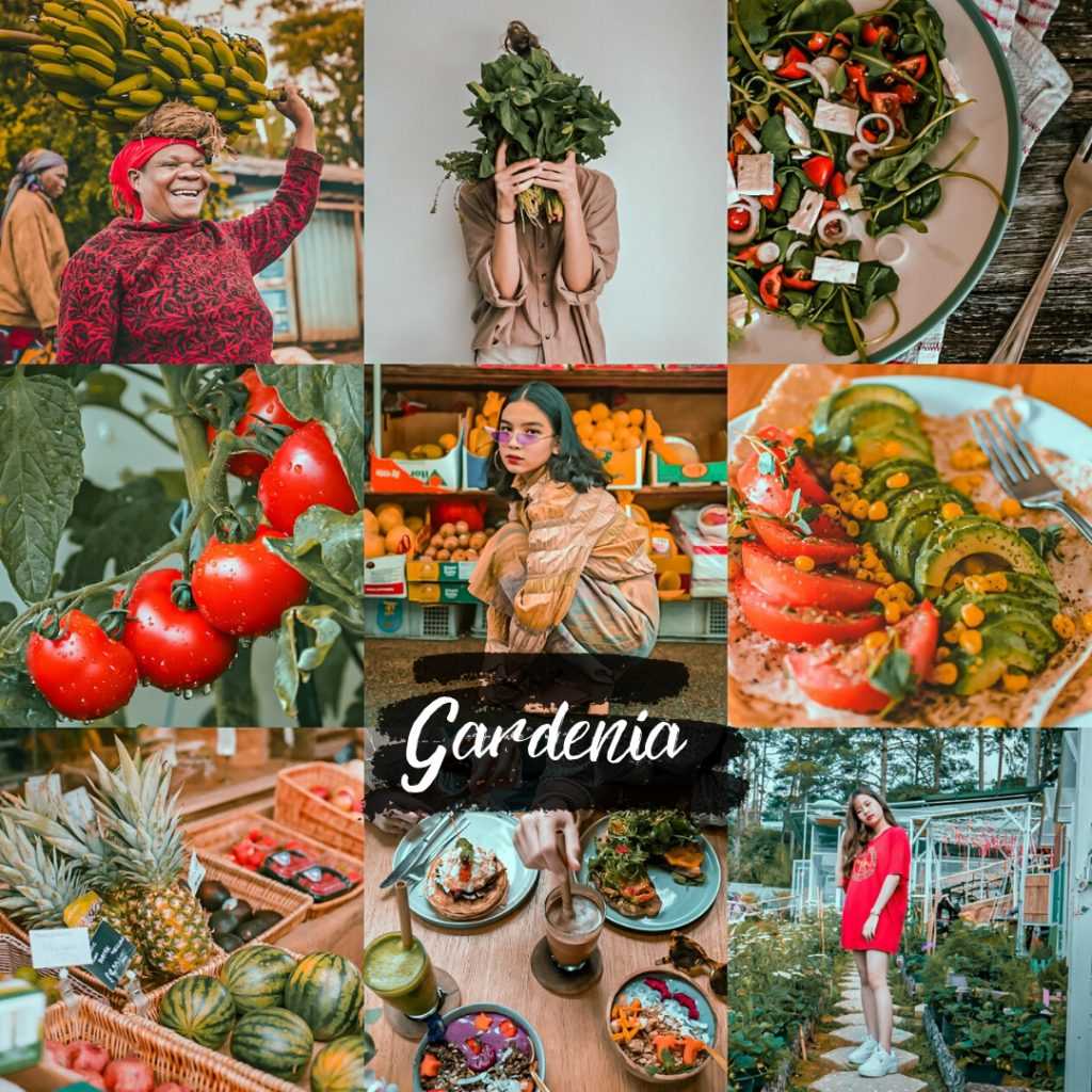 preset gardenia - florystyczny filtr do lightroom